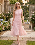 TOPS 2078 - DR11061  ROSE