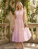 TOPS 2078 - DR11061  ROSE