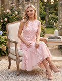 TOPS 2078 - DR11061  ROSE